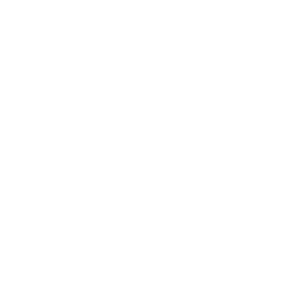 Plane Icon