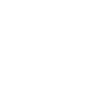 Globe Icon