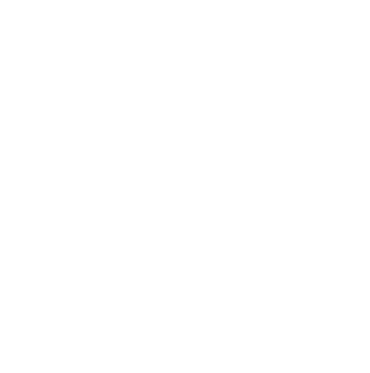 Flash Icon